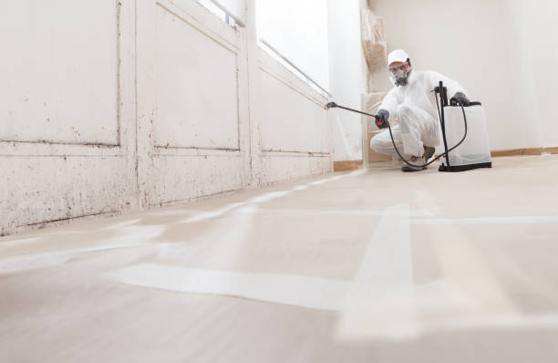 24/7 Emergency Attic Mold Remediation experts in Oregon City, OR
